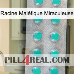 Racine Maléfique Miraculeuse 28